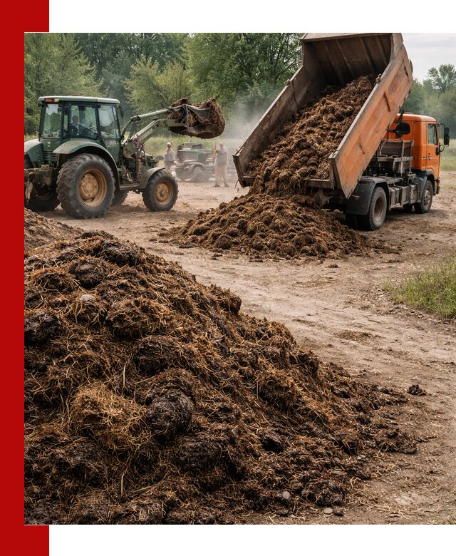 Доставка навоза самосвалами в Балаково для сельхозпотребностей